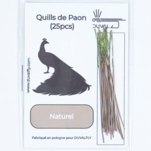 Quill de Paon