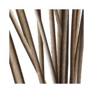 Quill de Paon