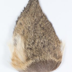 Oreille de Chevreuil