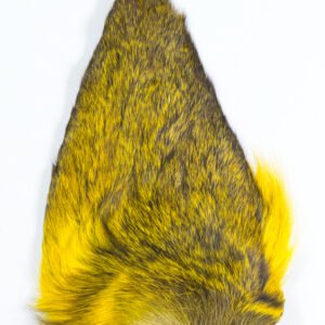 Oreille de Chevreuil