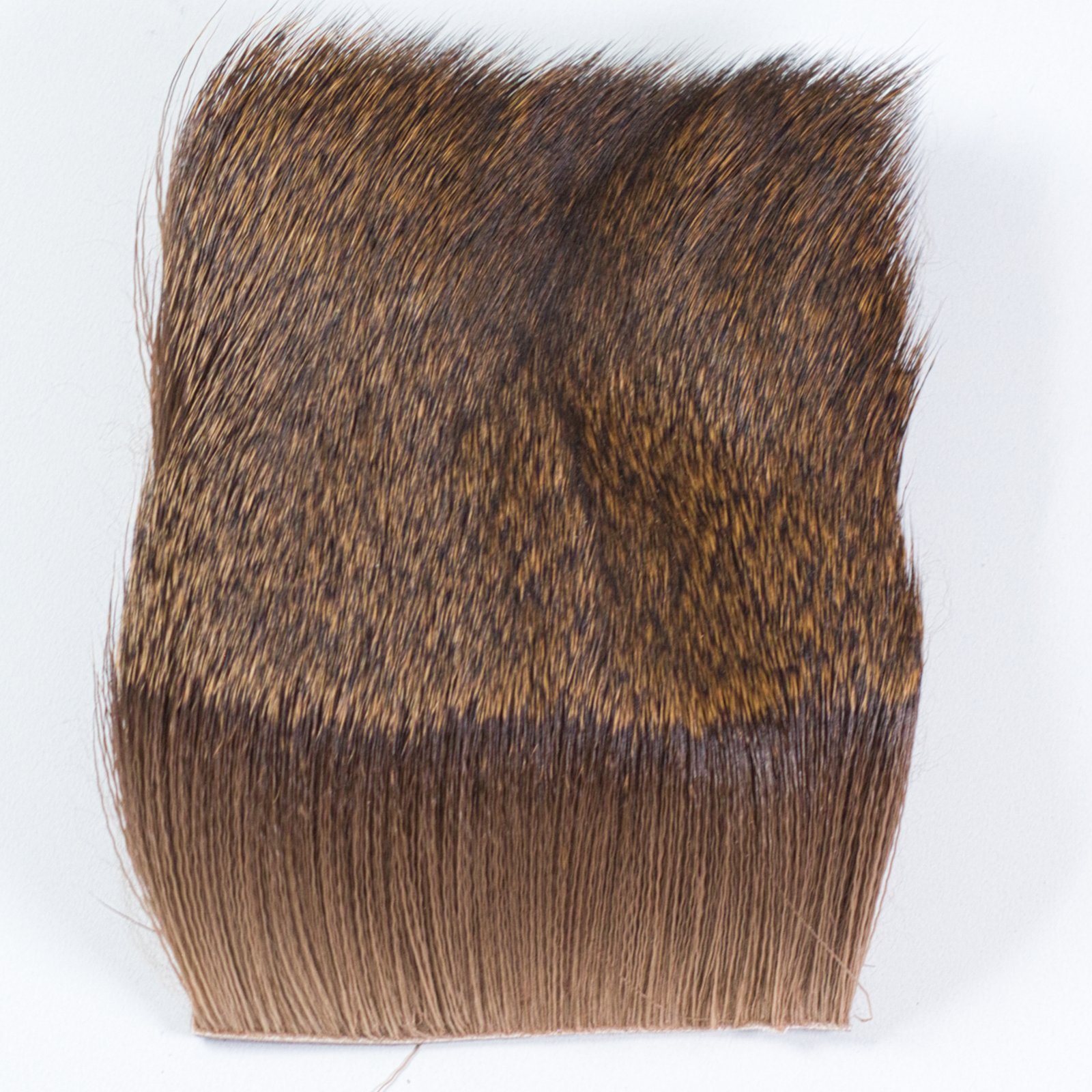 Chevreuil d'Hiver – Image 3